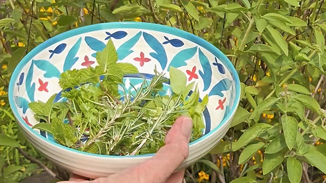 Herb Garden